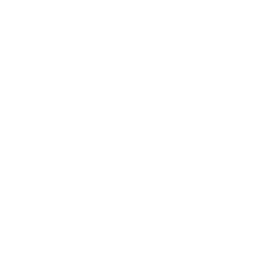 LEGO McLaren MCL60 Badge